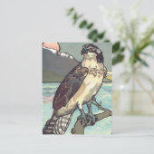 Carte Postale Peindre par nombre Hawk (Debout devant)