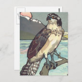 Carte Postale Peindre par nombre Hawk (Devant / Derrière)