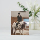 Carte Postale Peindre un cheval à un spectacle de chevaux (Debout devant)