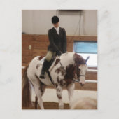 Carte Postale Peindre un cheval à un spectacle de chevaux (Devant)