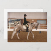 Carte Postale Peindre un cheval à un spectacle de chevaux (Devant / Derrière)