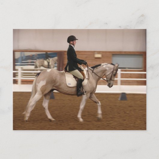Carte Postale Peindre un cheval à un spectacle de chevaux (Devant)