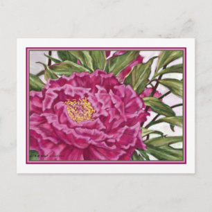 Carte Postale Peine de jardin de fleurs de pivoines violettes