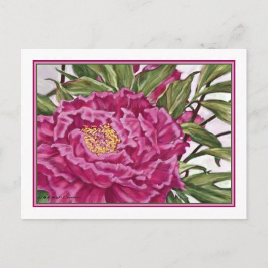Carte Postale Peine de jardin de fleurs de pivoines violettes (Devant)