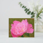 Carte Postale Peine rose pâle (Debout devant)