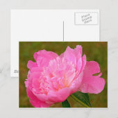 Carte Postale Peine rose pâle (Devant / Derrière)