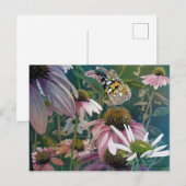 Carte Postale Peint Lady Papillon Conflowers Aquarelle Art (Devant / Derrière)