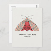 Carte postale Peint Tiger Moth (Devant / Derrière)