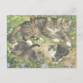 CARTE POSTALE PEINTE CAT (Devant)