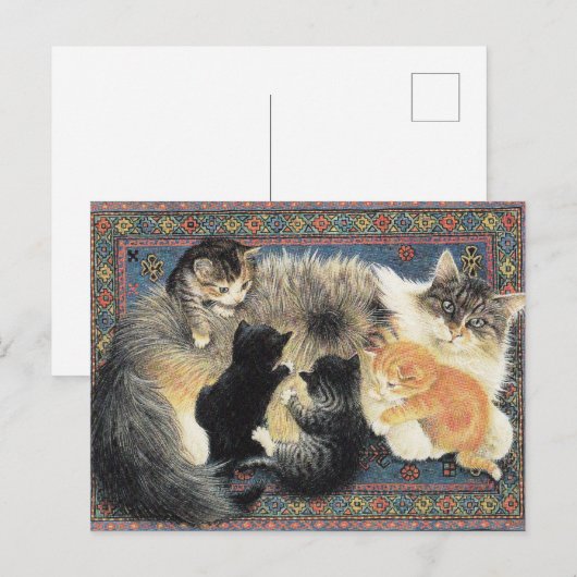 CARTE POSTALE PEINTE CAT (Devant / Derrière)