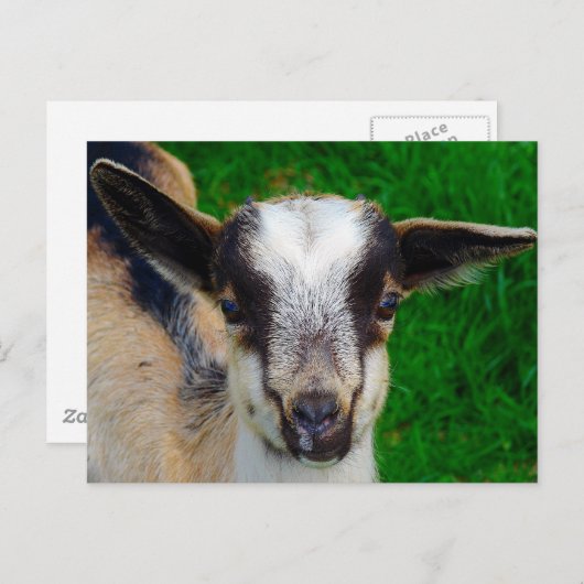 Carte Postale Peinture (Devant / Derrière)