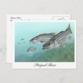 Carte postale Peinture à basse rayée (Devant / Derrière)