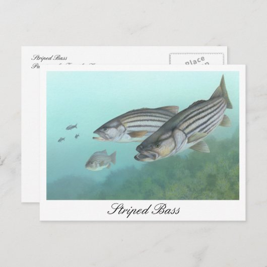 Carte postale Peinture à basse rayée (Devant / Derrière)