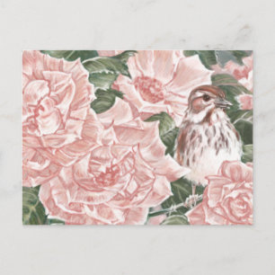 Carte Postale Peinture à fleur de moelle et de roses roses roses