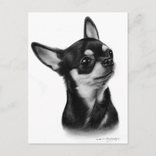 Carte Postale Peinture à la main courte Haired Chihuahua Chig (Devant)