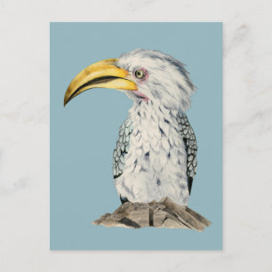 Carte Postale Peinture à l'aquarelle à bec jaune