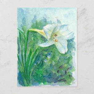 Carte Postale Peinture à l'aquarelle blanche à fleurs