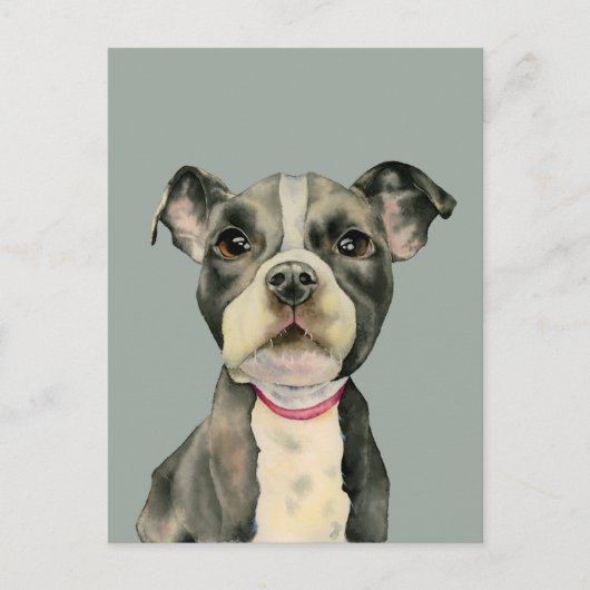 Carte Postale Peinture à l'aquarelle de Chien à Chien à Chien à (Devant)