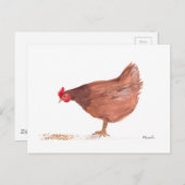 Carte Postale Peinture à l'aquarelle de poulet (Devant / Derrière)