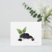 Carte Postale Peinture à l'aquarelle des fruits de Blackberry (Debout devant)