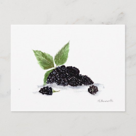 Carte Postale Peinture à l'aquarelle des fruits de Blackberry (Devant)
