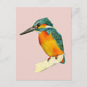 Carte Postale Peinture à l'aquarelle Kingfisher Bird