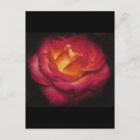 Peinture à l'huile de Rose flamand