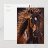 Carte Postale Peinture à l'huile Morgan Horse (Devant / Derrière)