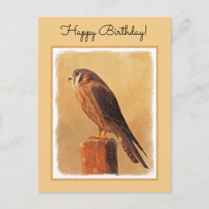 Carte Postale Peinture américaine Kestrel - Art original pour oi
