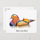 Carte Postale Peinture aquarelle Canard mandarin (Devant / Derrière)