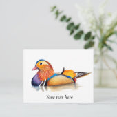 Carte Postale Peinture aquarelle Canard mandarin (Debout devant)
