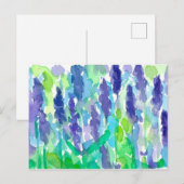 Carte Postale Peinture aquarelle du jardin de lavande (Devant / Derrière)