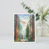 Carte Postale Peinture aquarelle du parc national Redwood (Debout devant)