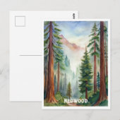 Carte Postale Peinture aquarelle du parc national Redwood (Devant / Derrière)