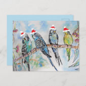 Carte Postale Peinture aquarelle Perruche oiseau Perruches Noël (Devant / Derrière)