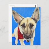 Carte Postale Peinture au pochoir (Devant / Derrière)