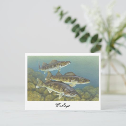 Carte postale Peinture au walleye (Debout devant)