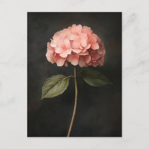 Carte Postale Peinture botanique d'Hydrangée rose