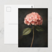 Carte Postale Peinture botanique d'Hydrangée rose (Devant / Derrière)