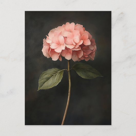 Carte Postale Peinture botanique d'Hydrangée rose (Devant)