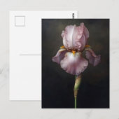 Carte Postale Peinture Botanique Iris Violet (Devant / Derrière)