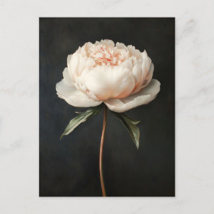 Carte Postale Peinture botanique rose pâle