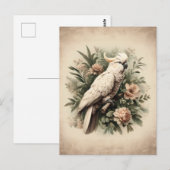 Carte Postale Peinture botanique vintage de Cockatoo (Devant / Derrière)