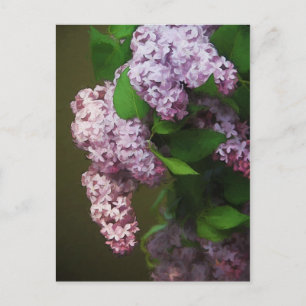 Carte Postale Peinture Bouquet Lilac violet