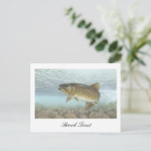 Carte postale Peinture Brook Truite (Debout devant)