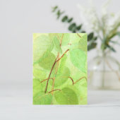 Carte postale Peinture Caterpillar (Debout devant)