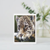 Carte postale Peinture Cheetah (Debout devant)