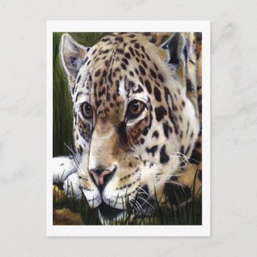 Carte postale Peinture Cheetah (Devant)