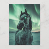 Carte Postale Peinture Cheval Oeil brillant Lumières du Nord (Devant)