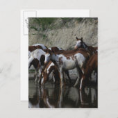 Carte Postale Peinture Chevaux Boire (Devant / Derrière)